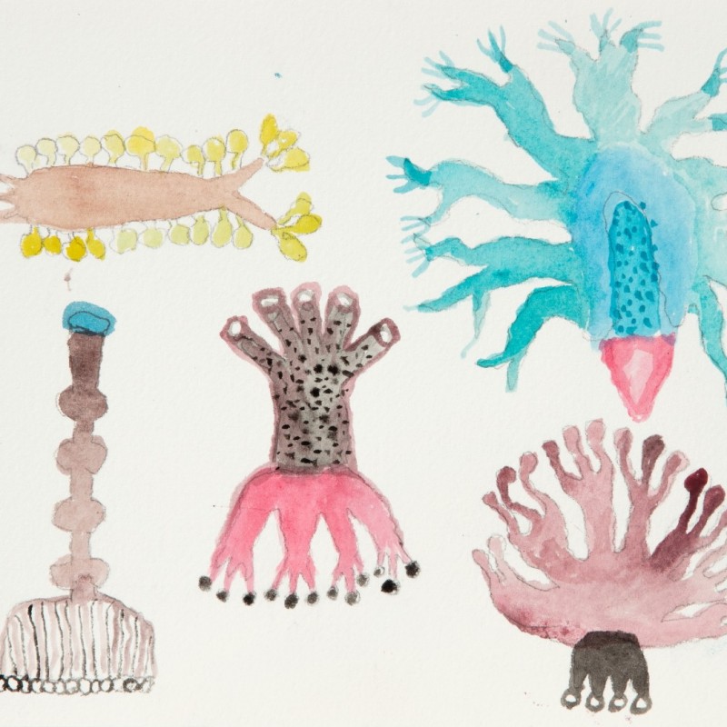 Garden of Blue and Pink