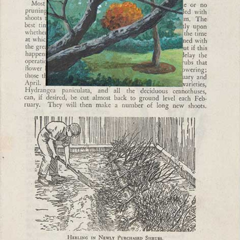 Floating Bush Hillston Page 97