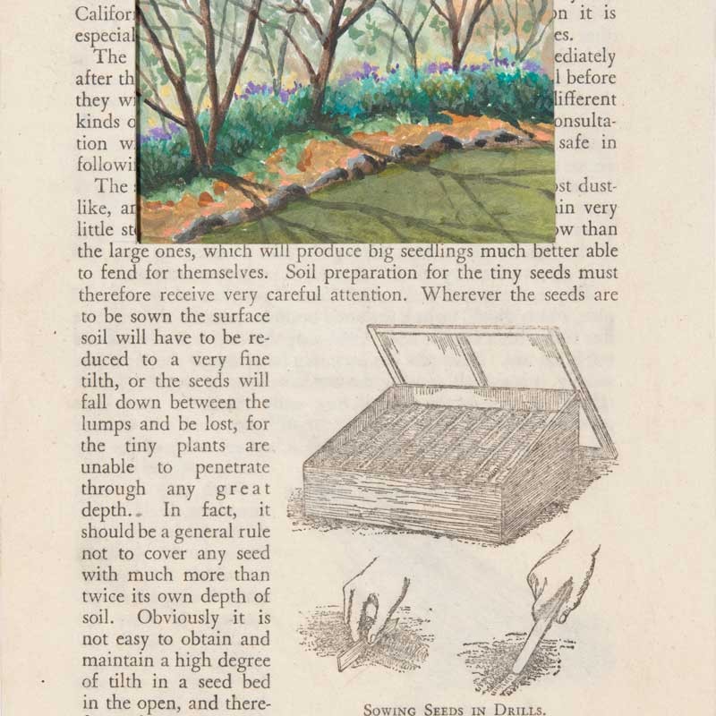 Looking at Lavender Hillston Page 43