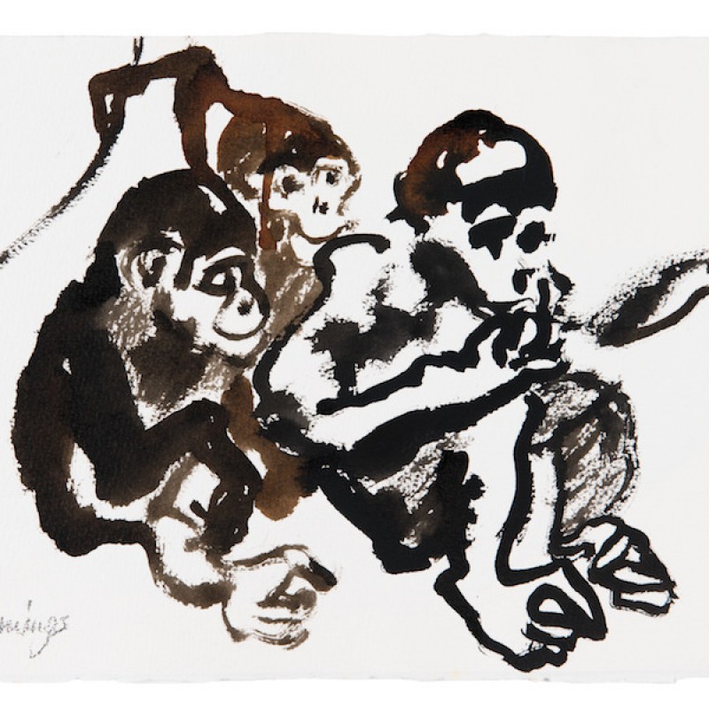 Three Chimpanzees at Taronga