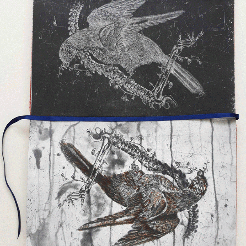 False ornithology VI