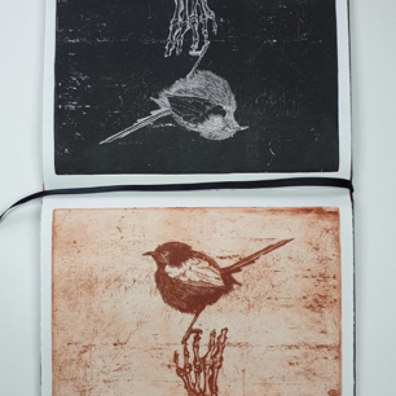 False ornithology XI