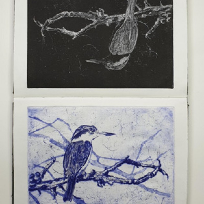 False ornithology: indigo X