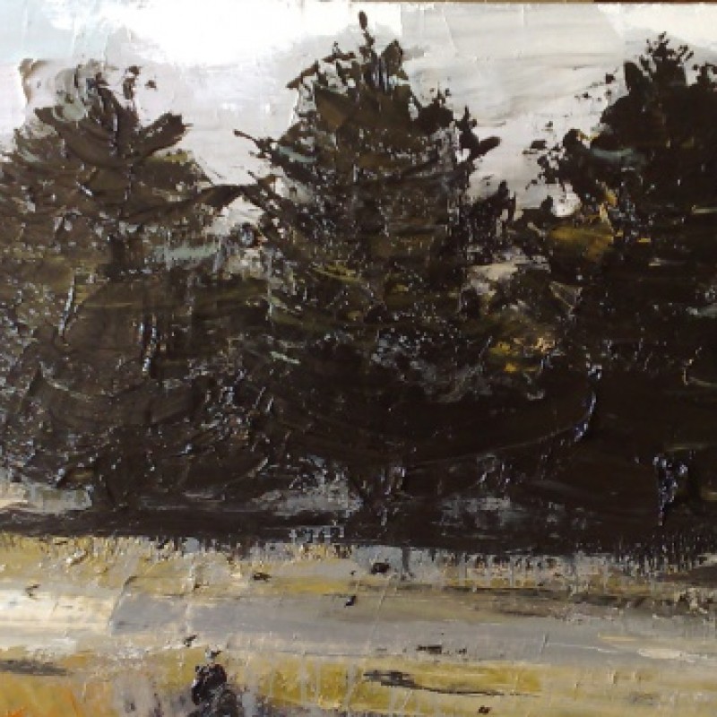 Three trees caravan park