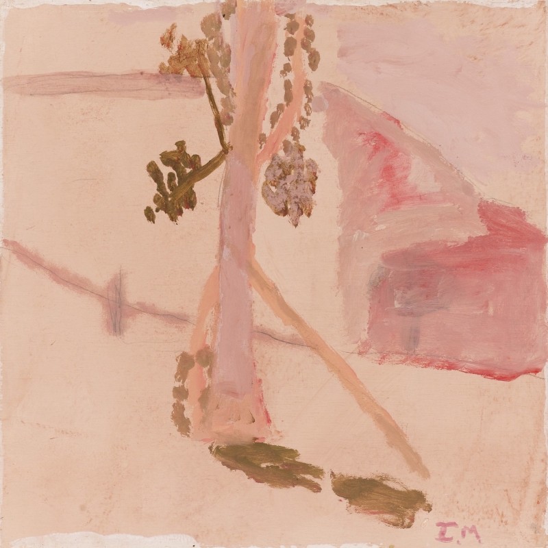 Pink at midday