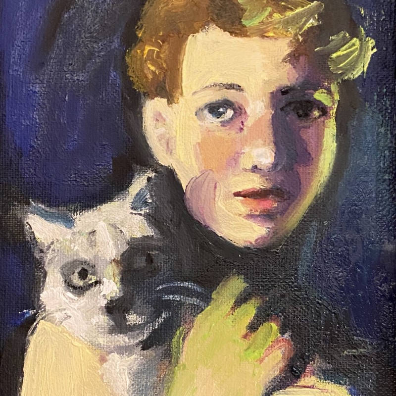 The grey cat