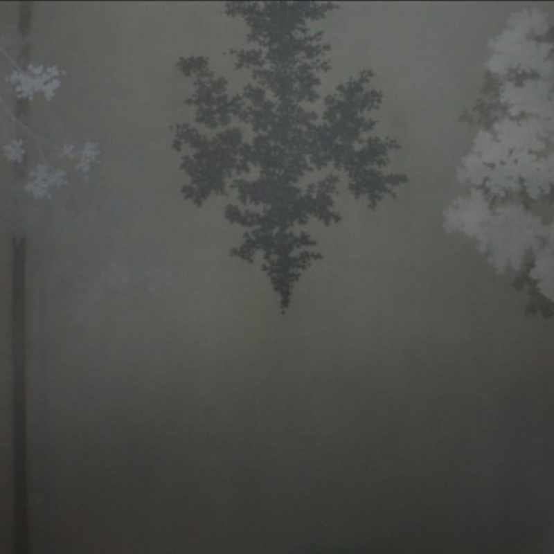 Eight Shadows