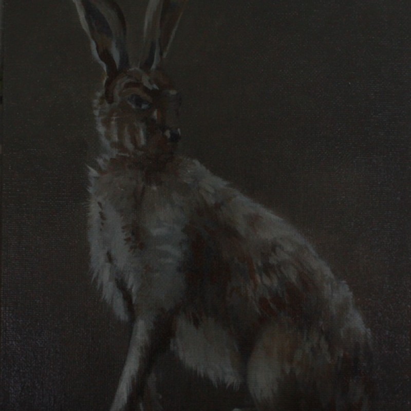Hare IV