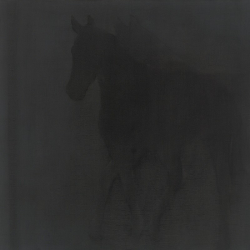 In His Shadow