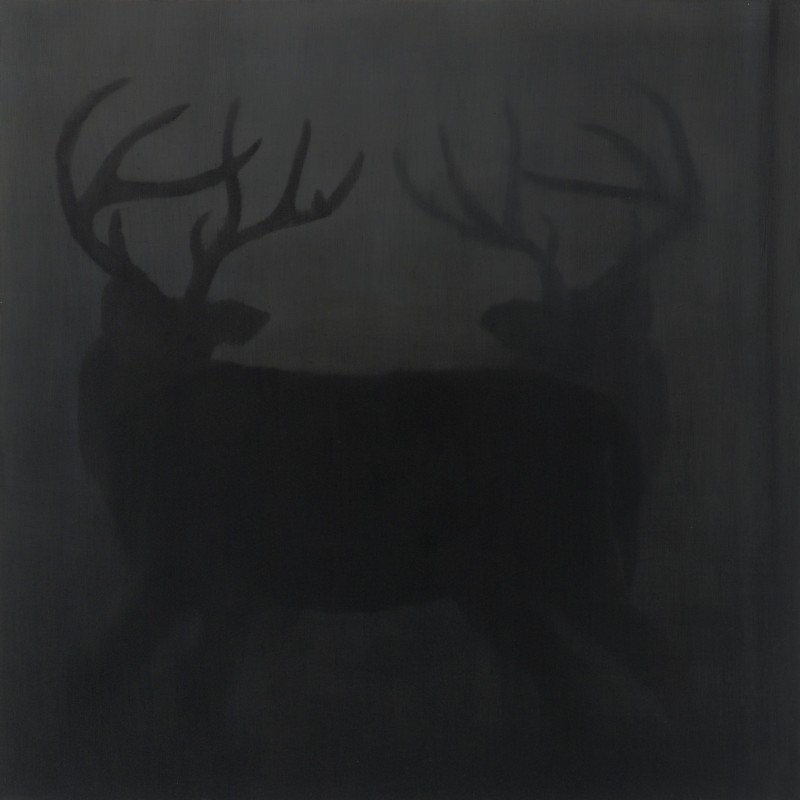Stags
