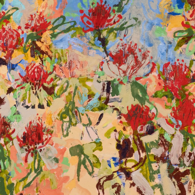 Mount Vincent Waratahs