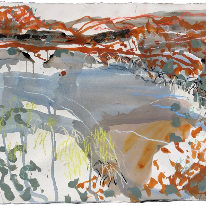 Estuary and Mangroves, Kimberley Coast