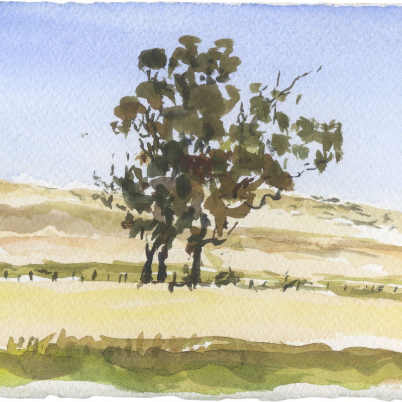 North of Snowtown