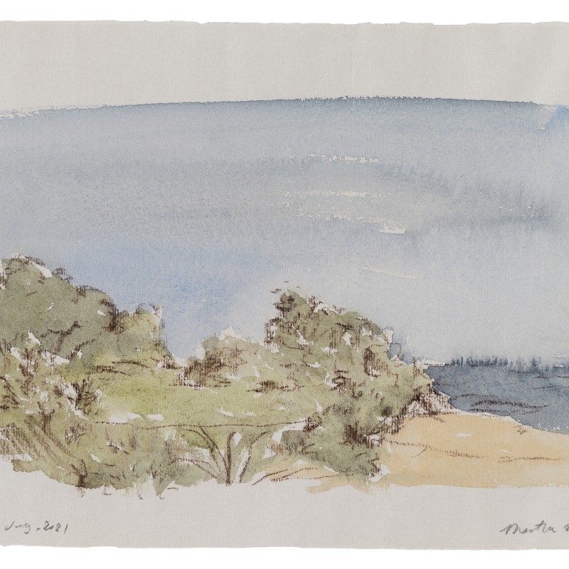 Coogee Grasses