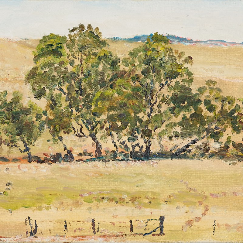 Gums in a Creek Bed, Echunga I