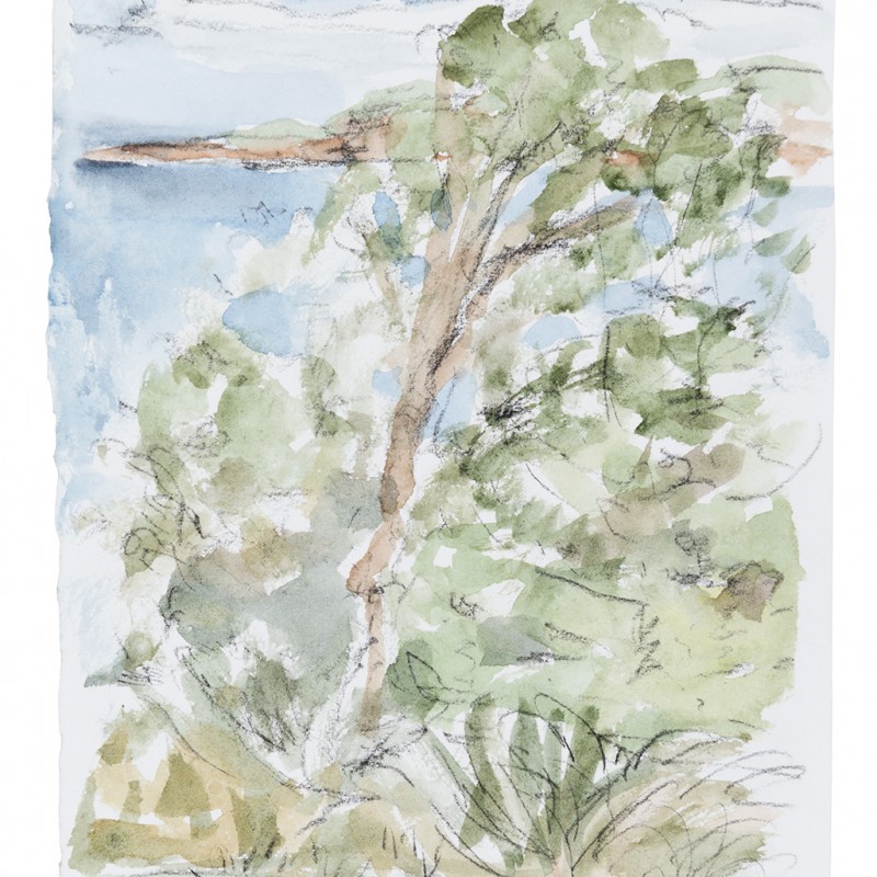 Coogee I