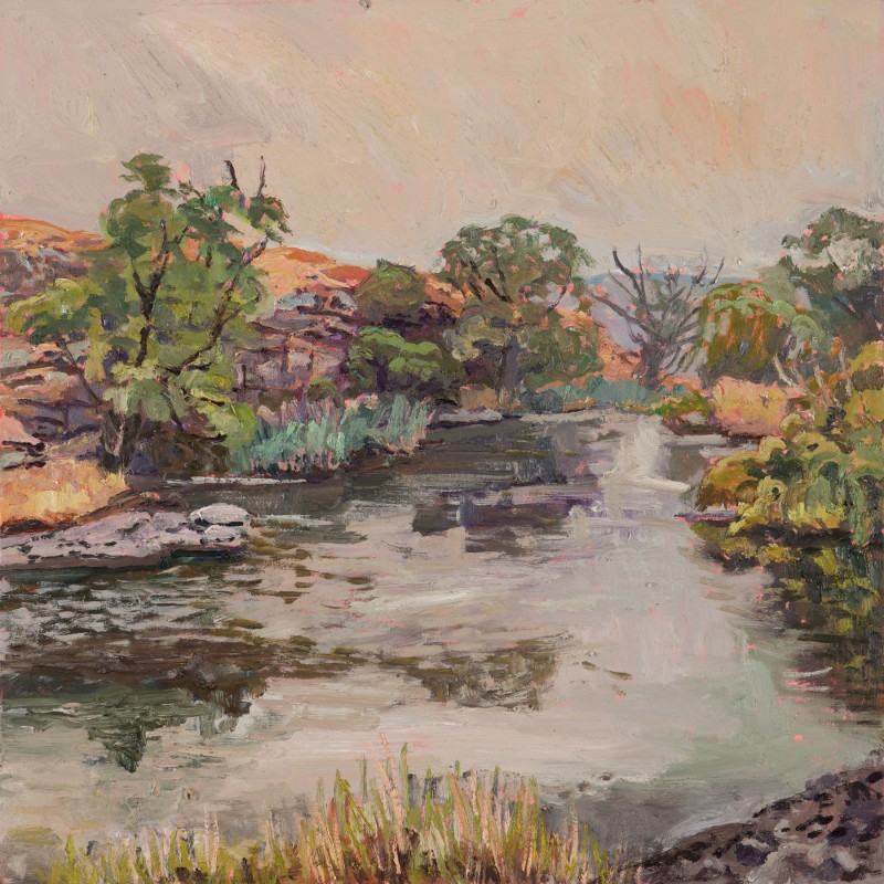 Platypus Hole, Smoky Summer