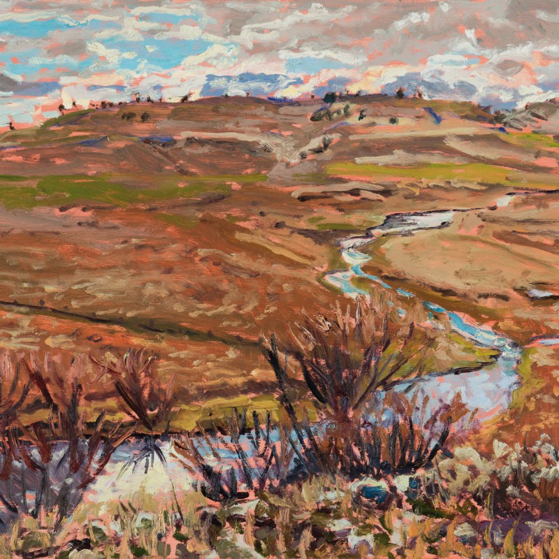Cambalong Creek Flowing into Gunningrah