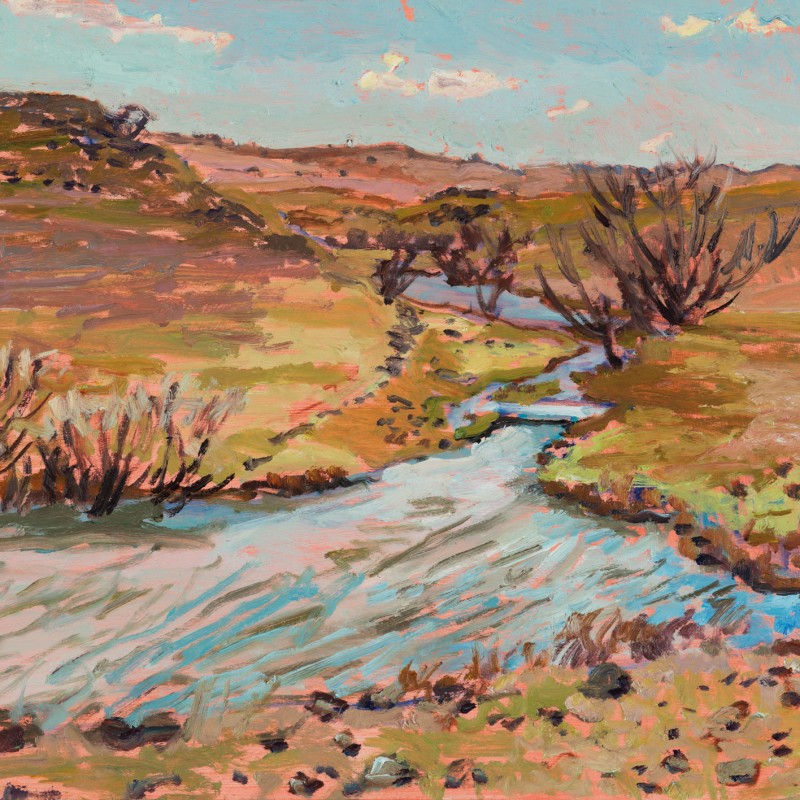 Moores Platypus Hole, Looking North
