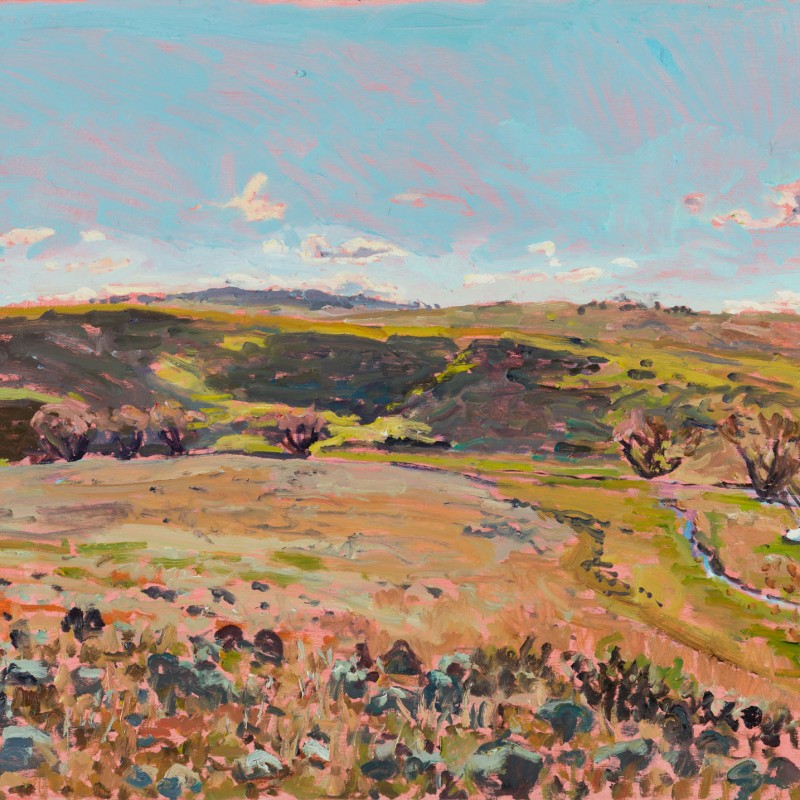 North Moores, Looking West Towards the Big Bend 2