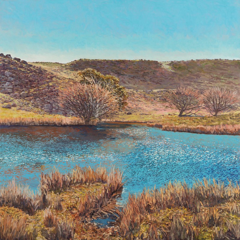 Second Pool in Moores, Winter