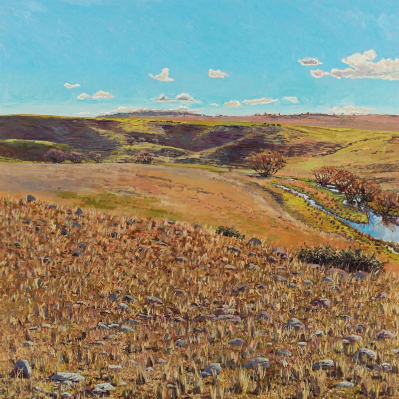 North Moores, Looking West Towards the Big Bend
