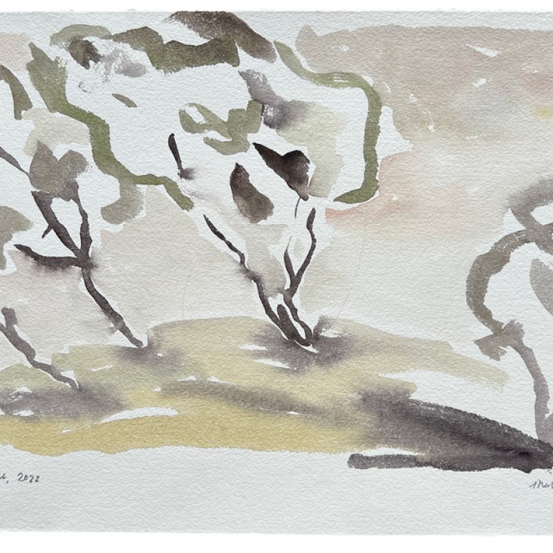Trees on the Hill