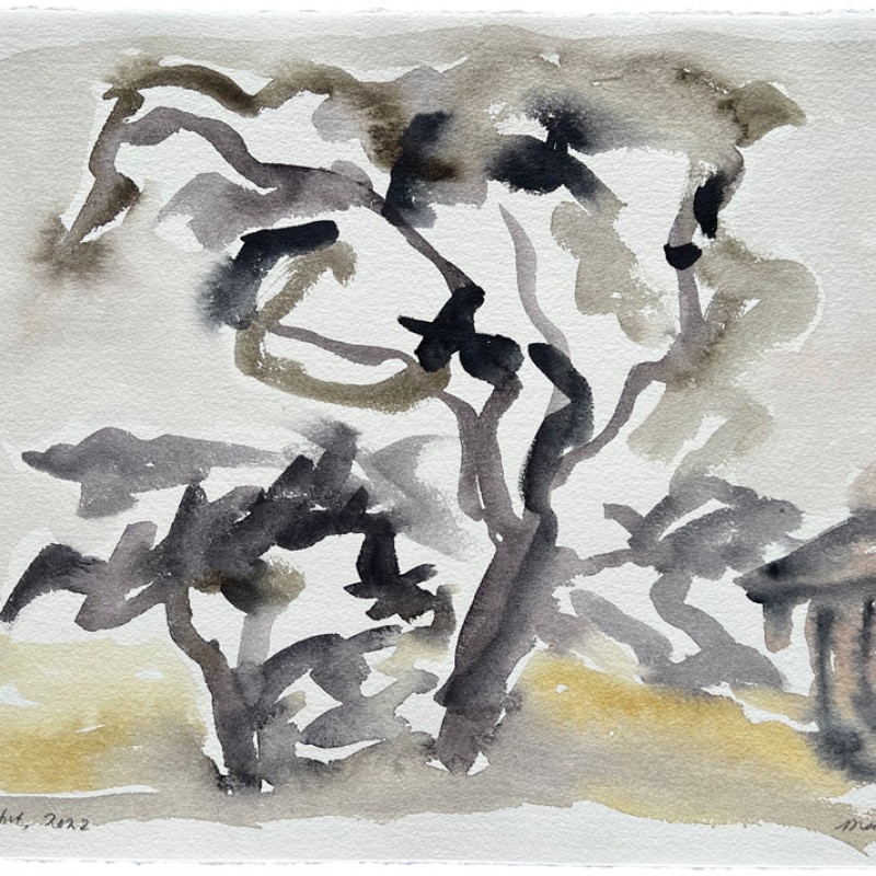Trees with Hut