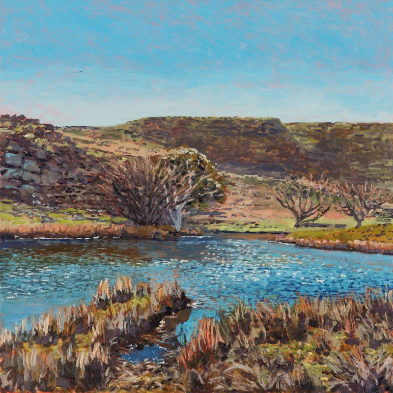 Second Pool in Moores Looking West Towards Wombat Village