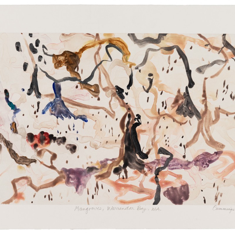 Mangroves, Warrendera Bay