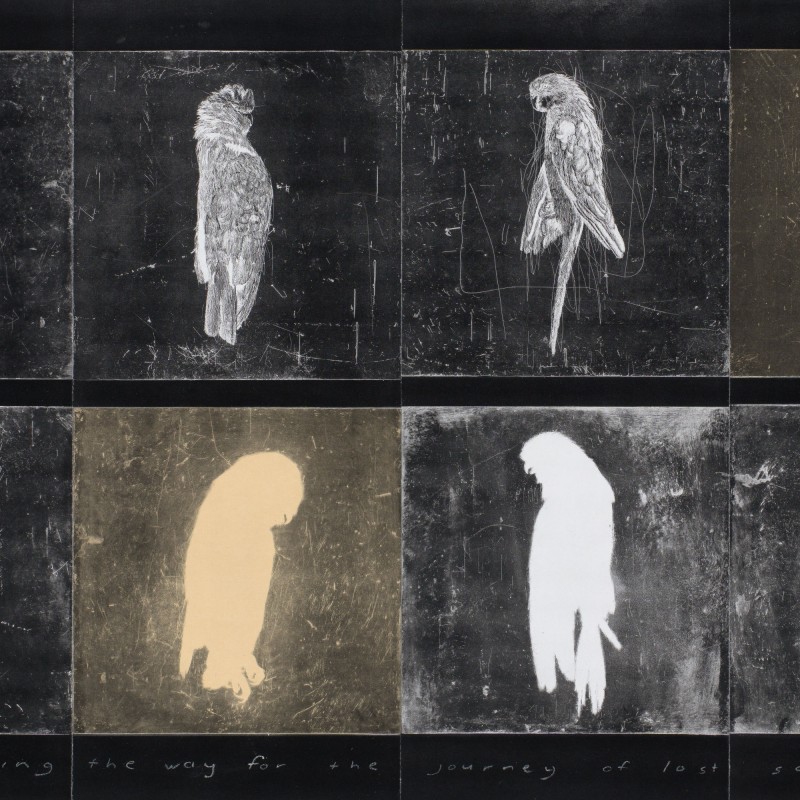 lighting the way for the journey of lost souls