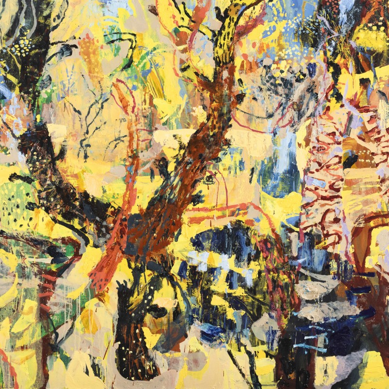 Sapling Forest in Wattle