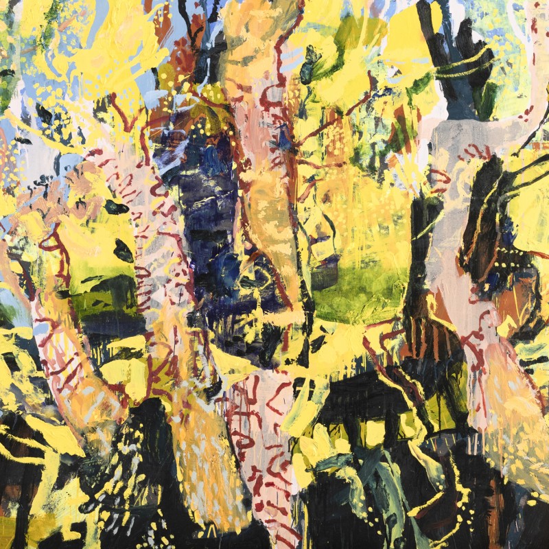 The Winter Wattles