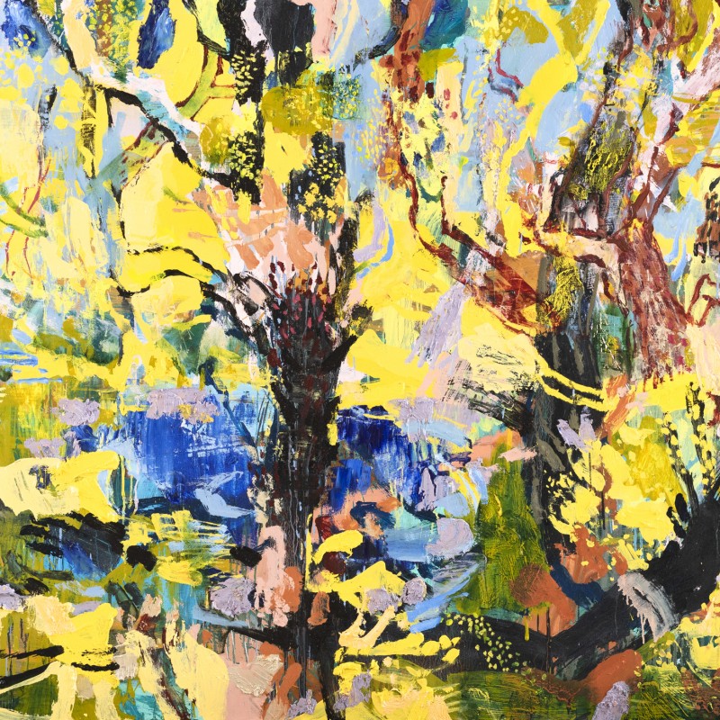 Wattle and Bush Pool