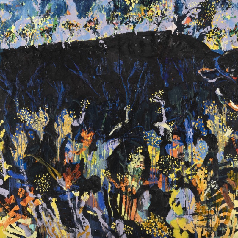Wattle and Wounded Bull