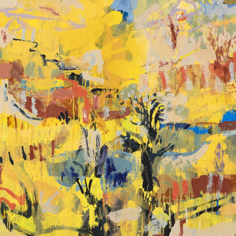 Wattles at Warragunnia