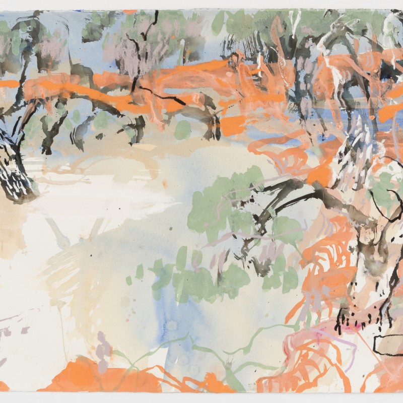 Wilcannia in Flood VI
