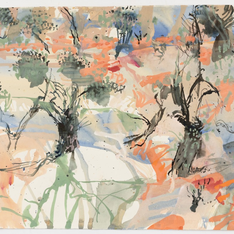 Wilcannia in Flood VII