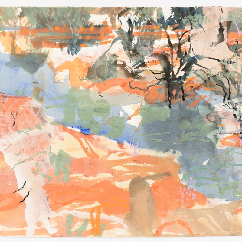 Wilcannia in Flood VIII