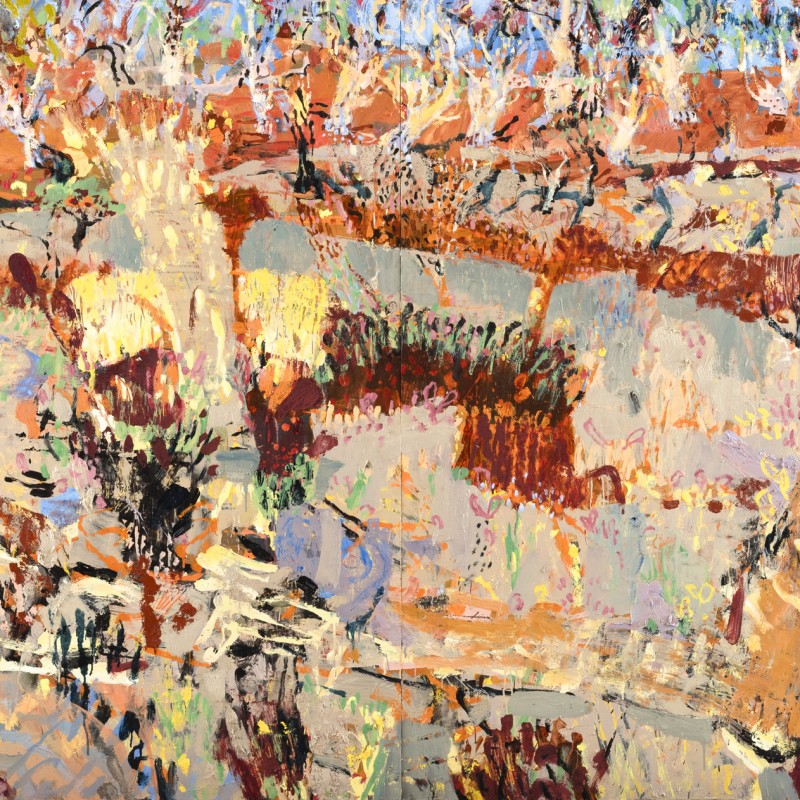 Wild Meadow, Wilcannia
