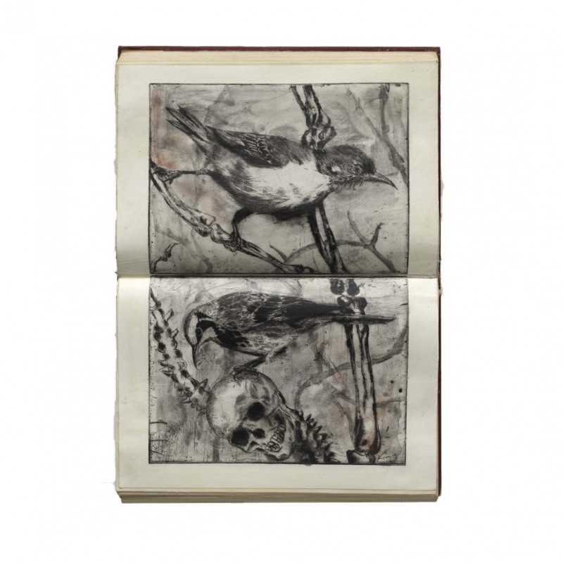 strangerlands diary no.5