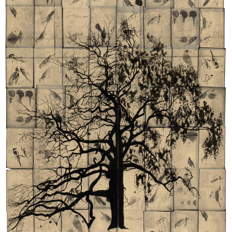 pages from the diary of lost souls
