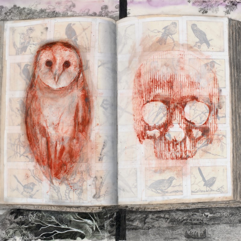 studies for diaries of lost souls