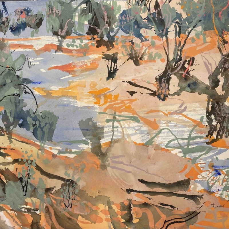 Wilcannia in Flood X
