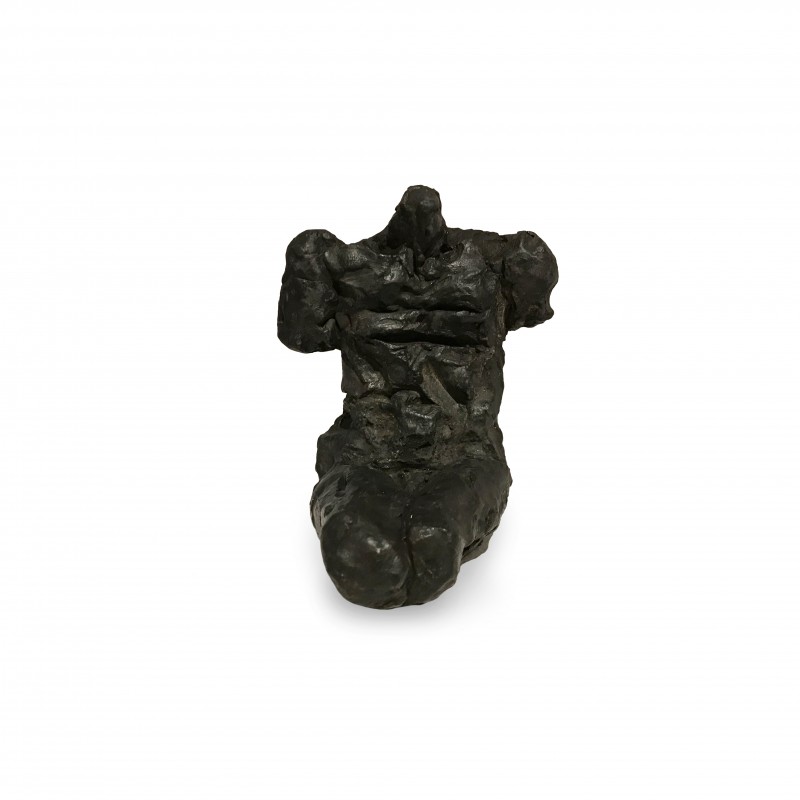 Male torso