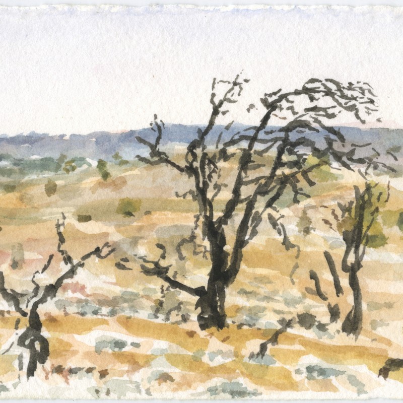 Off the Heysen Trail, Moralana