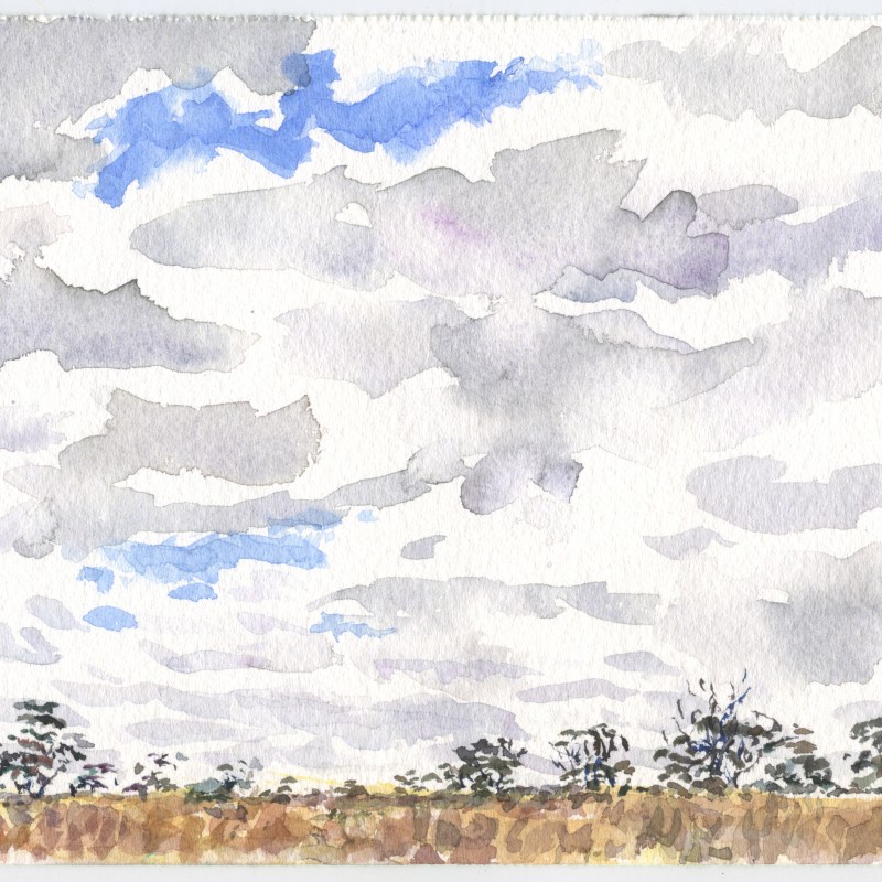 Beside the Mallee Highway, near Murrayville