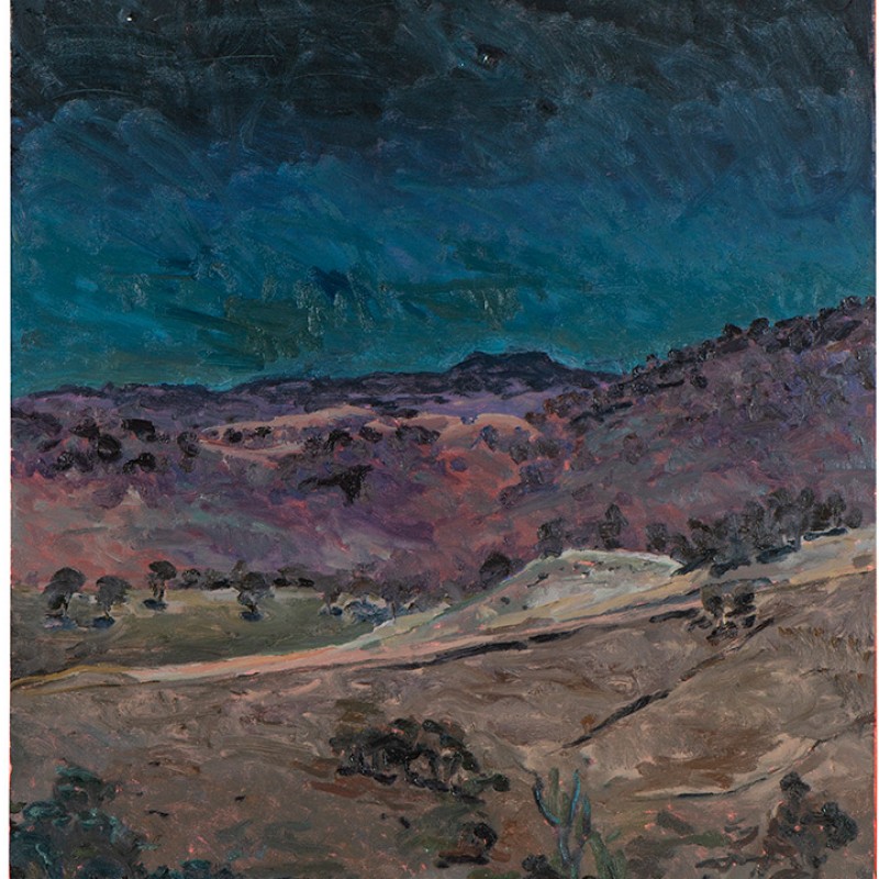 Hartley Landscape (night)