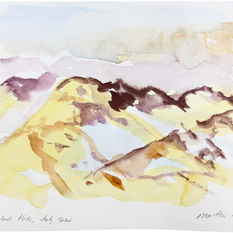 New Zealand Hills, July 2020