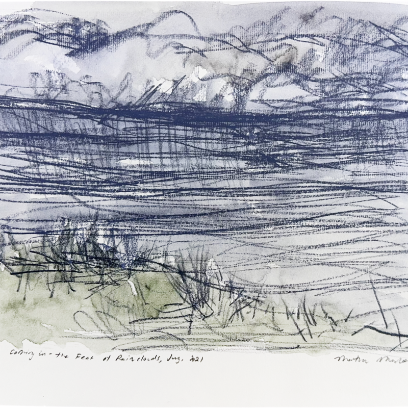 Storm Sky Coming In – the Feat of Rainclouds